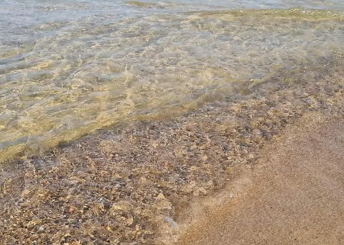 Koralowa Apartamento *